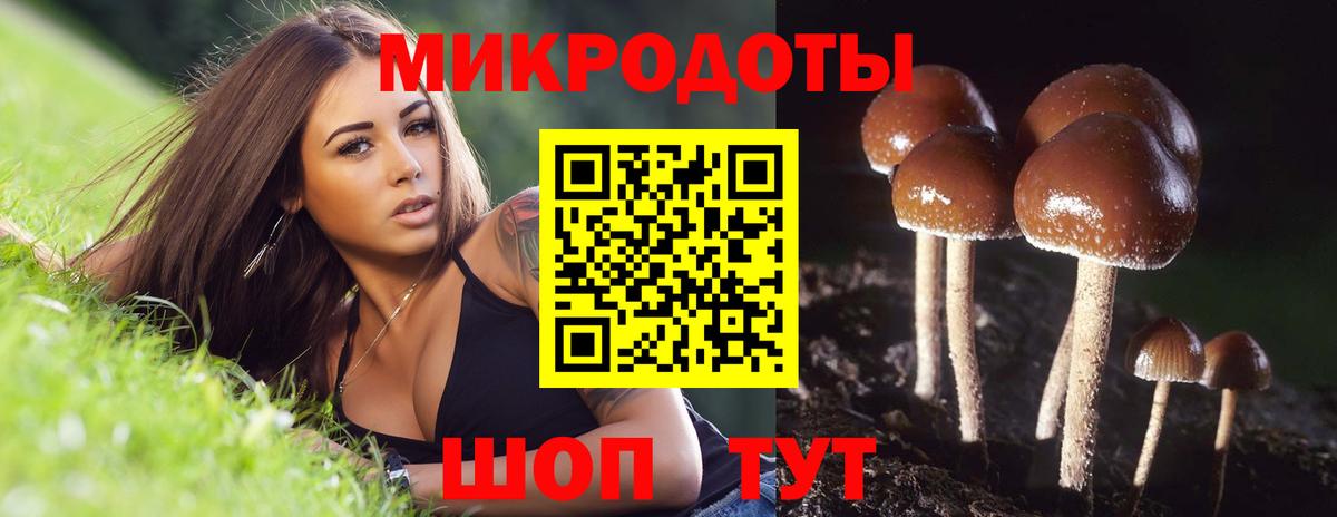 Кулебаки  Галлюциногенные грибы Magic Shrooms  Вход с VPN 